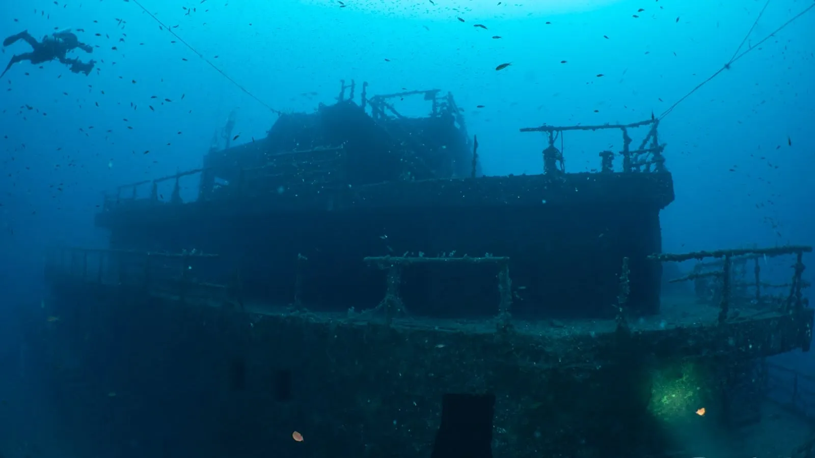 Wrack Haven vor Arenzano